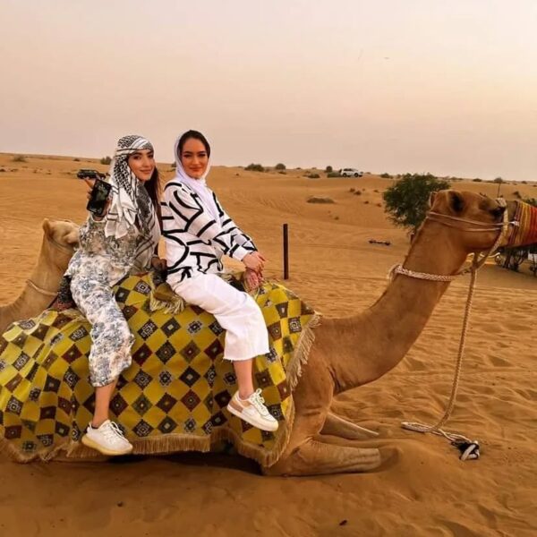 Evening Desert Safari Tour