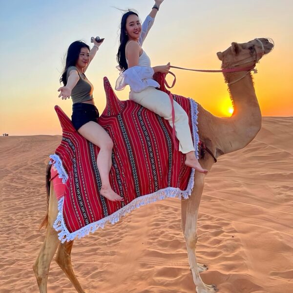 premium desert safari tour (17)